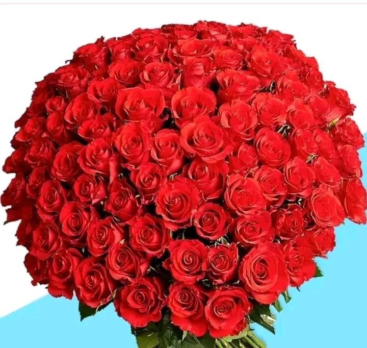 कम जान पहचान शांतिपूर्ण जीवन ♥️ 

🌿🌹All Friends Good morning 🌹🌿

आरती बेहरा -राष्ट्रीय अध्यक्ष - राष्ट्रीय नारी शक्ति