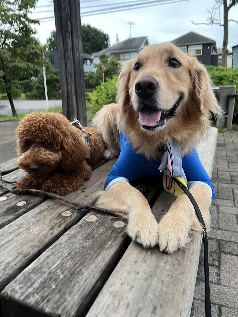 僕の大切なお友達 大きいとか小さいとか関係ないよね