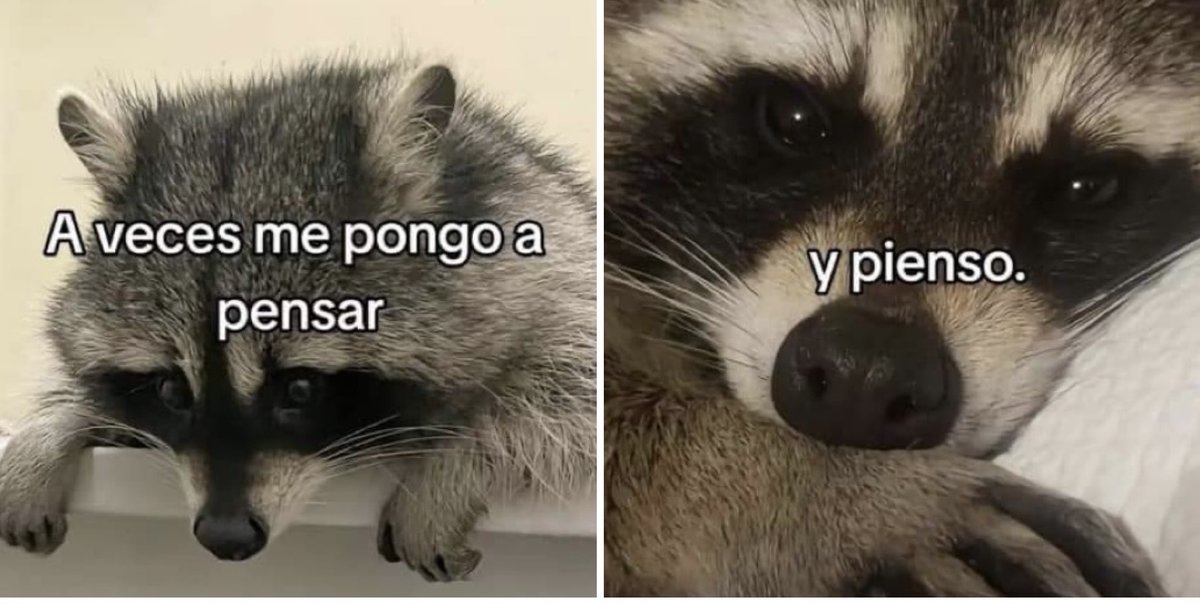 Guarromantico_'s tweet photo. Y pensé. https://t.co/DbuPy6dRn8