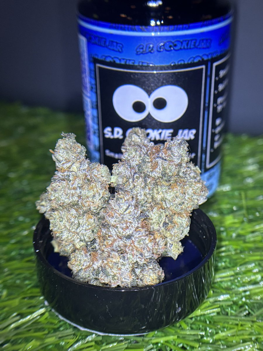 limonenefiend's tweet image. ๐ช @sd_cookie_jar - Dunkaroos ๐ช
Warm doughy nose with gas on the backend ๐คค
so consistent easily a staple imo
tbh I look for this flavor in every cookie I smoke and never find it ๐ฎโ๐จ
Translating โ
Combusting โ
Performing โ
Potent โ
@sd_cookie_jar ๐ฅ
@PacksFifthAve ๐