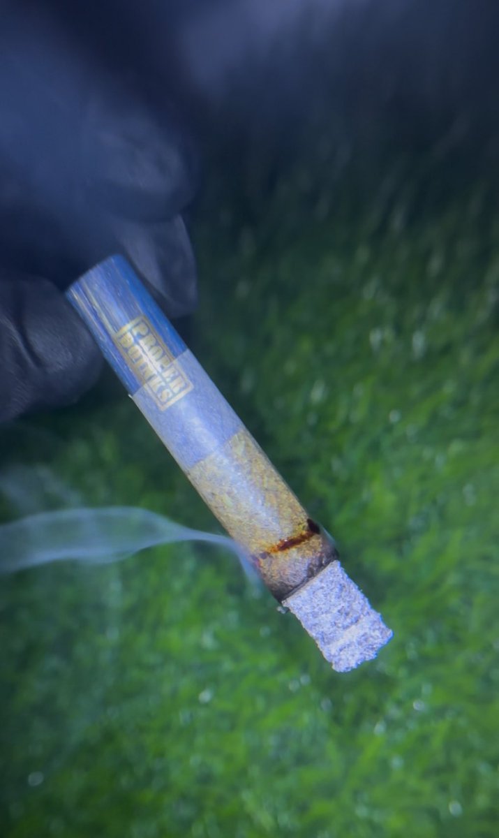 limonenefiend's tweet image. ๐ช @sd_cookie_jar - Dunkaroos ๐ช
Warm doughy nose with gas on the backend ๐คค
so consistent easily a staple imo
tbh I look for this flavor in every cookie I smoke and never find it ๐ฎโ๐จ
Translating โ
Combusting โ
Performing โ
Potent โ
@sd_cookie_jar ๐ฅ
@PacksFifthAve ๐