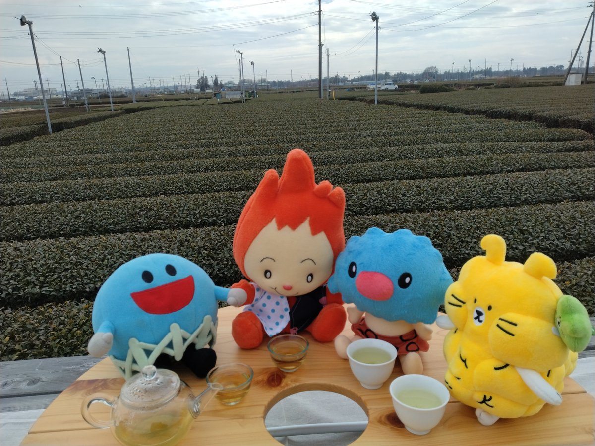 irumagas's tweet image. \入間ガスInstagram📷/
「#キャラまち推し」配信中💕
いるまるくんがお友達と一緒におでかけ🐾
街の魅力をご紹介します🔵✨
ぜひご覧ください🥰
🔽Instagramはこちらから
instagram.com/irumagasservic…
#ゆるキャラ #ぬい撮り #入間ガス #東海ガス #越後天然ガス #金沢エナジー #ガスエネルギー新聞