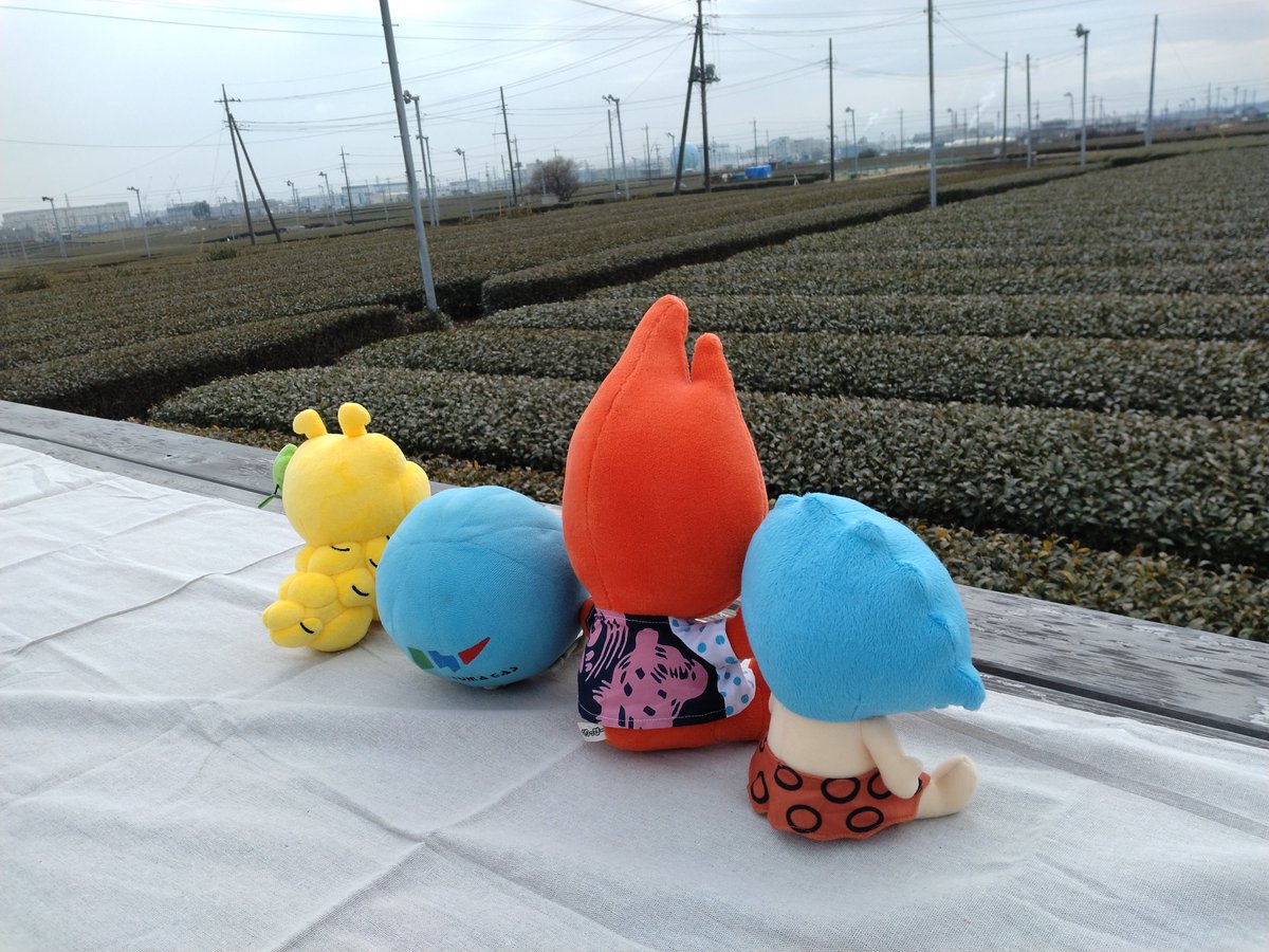 irumagas's tweet image. \入間ガスInstagram📷/
「#キャラまち推し」配信中💕
いるまるくんがお友達と一緒におでかけ🐾
街の魅力をご紹介します🔵✨
ぜひご覧ください🥰
🔽Instagramはこちらから
instagram.com/irumagasservic…
#ゆるキャラ #ぬい撮り #入間ガス #東海ガス #越後天然ガス #金沢エナジー #ガスエネルギー新聞