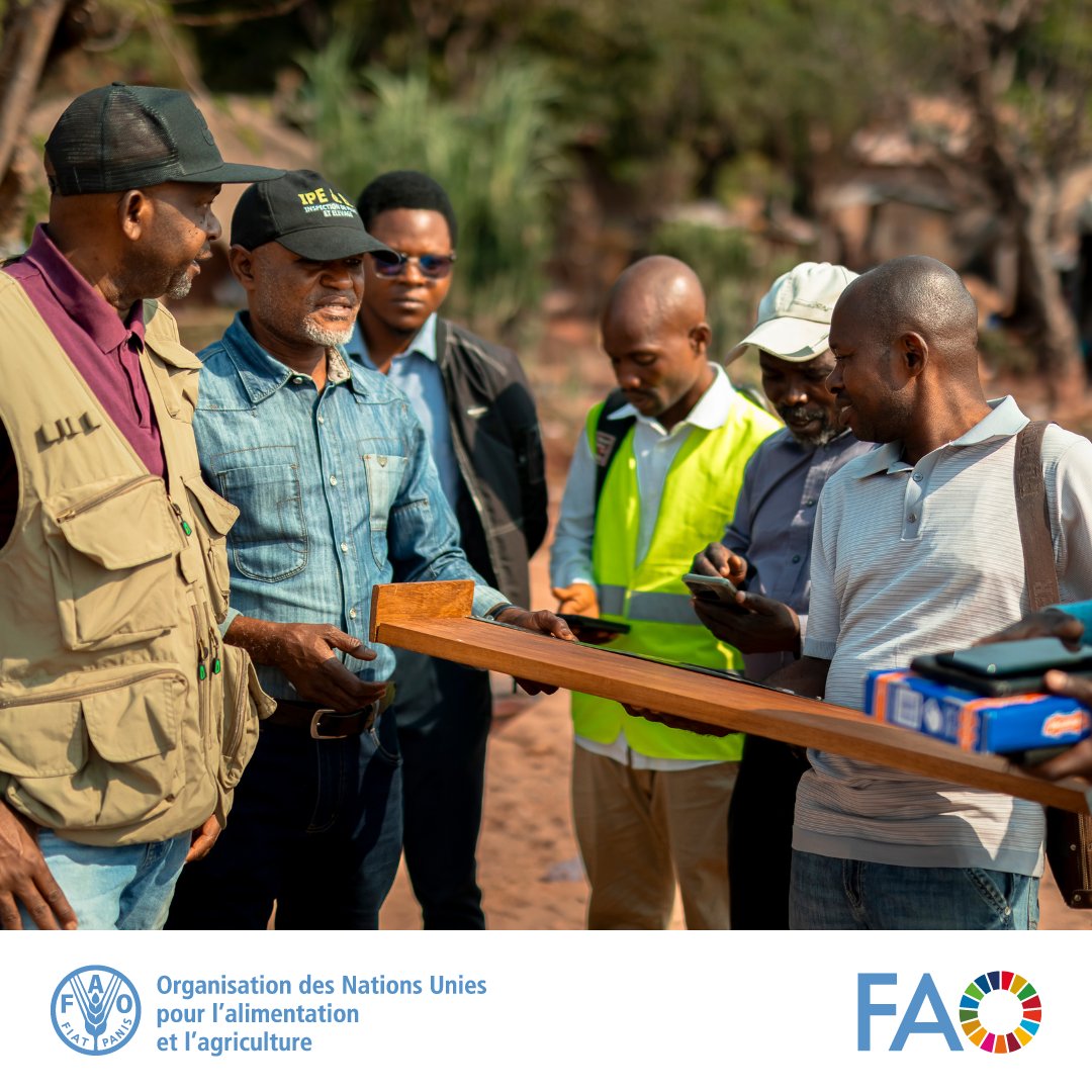 FAORDCongo's tweet photo. En visite sur les rives du lac Tanganyika, le Ministre provincial @PungweMulapi s’est assuré des avancées du projet #PROFISHBLUE.
🔎Objectif : constater les résultats,échanger avec les enquêteurs et réaffirmer l'engagement pour une gouvernance durable des ressources halieutiques. https://t.co/C0Ux2Bzxfk