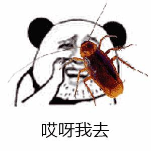 扑街又叫做打不死的小强，两者都具有顽强的生命力，旺财都进华府了，下一个不就轮到小强了吗？