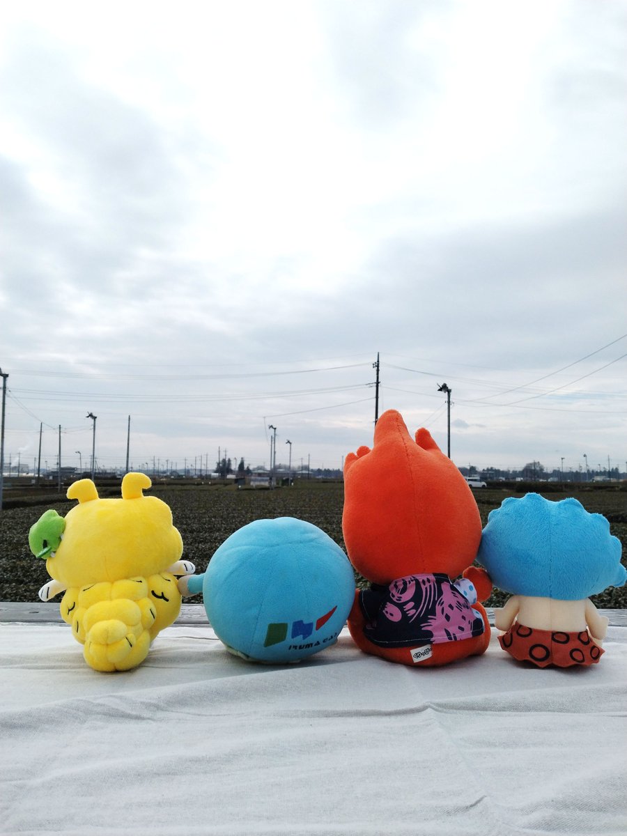 irumagas's tweet image. \入間ガスInstagram📷/
「#キャラまち推し」配信中💕
いるまるくんがお友達と一緒におでかけ🐾
街の魅力をご紹介します🔵✨
ぜひご覧ください🥰
🔽Instagramはこちらから
instagram.com/irumagasservic…
#ゆるキャラ #ぬい撮り #入間ガス #東海ガス #越後天然ガス #金沢エナジー #ガスエネルギー新聞