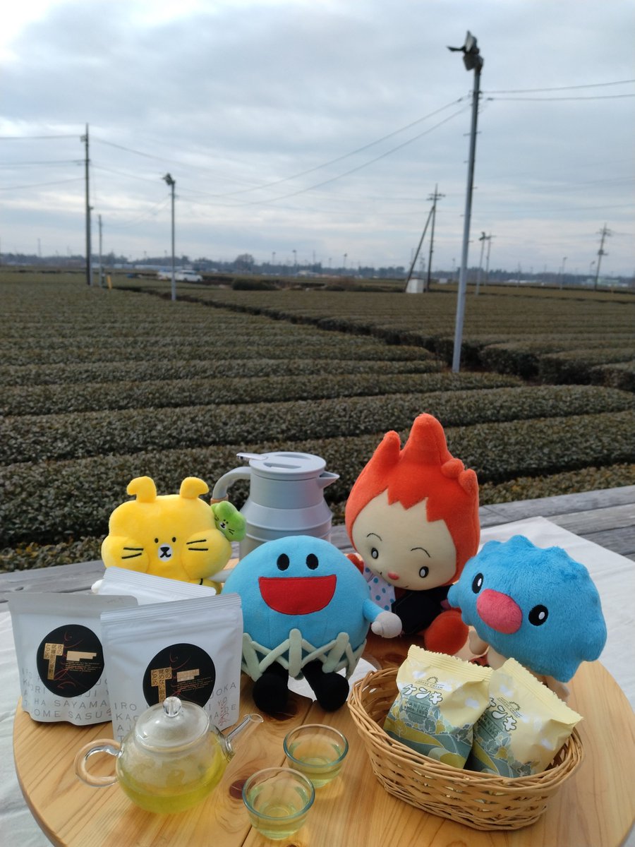 irumagas's tweet image. \入間ガスInstagram📷/
「#キャラまち推し」配信中💕
いるまるくんがお友達と一緒におでかけ🐾
街の魅力をご紹介します🔵✨
ぜひご覧ください🥰
🔽Instagramはこちらから
instagram.com/irumagasservic…
#ゆるキャラ #ぬい撮り #入間ガス #東海ガス #越後天然ガス #金沢エナジー #ガスエネルギー新聞