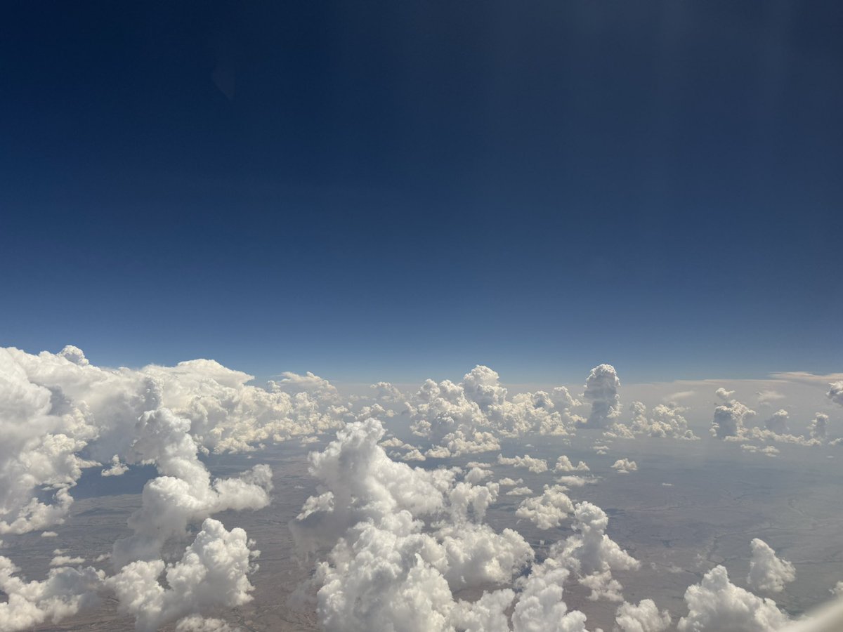 The Unbothered Sailor tweet media