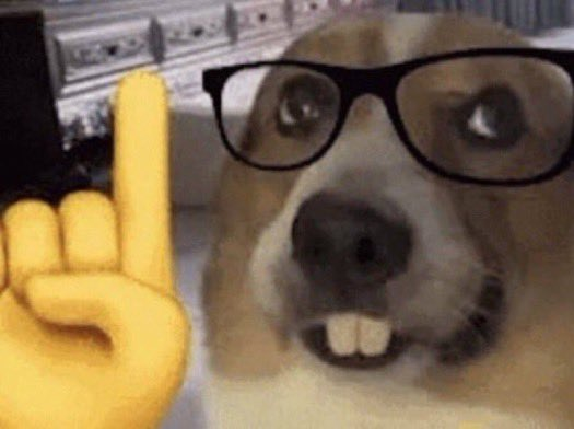 Como o Wise deve se sentir me informando que agora vai ficar mais caro transferir Ringgit malaios e Xelins ungandenses pelo aplicativo