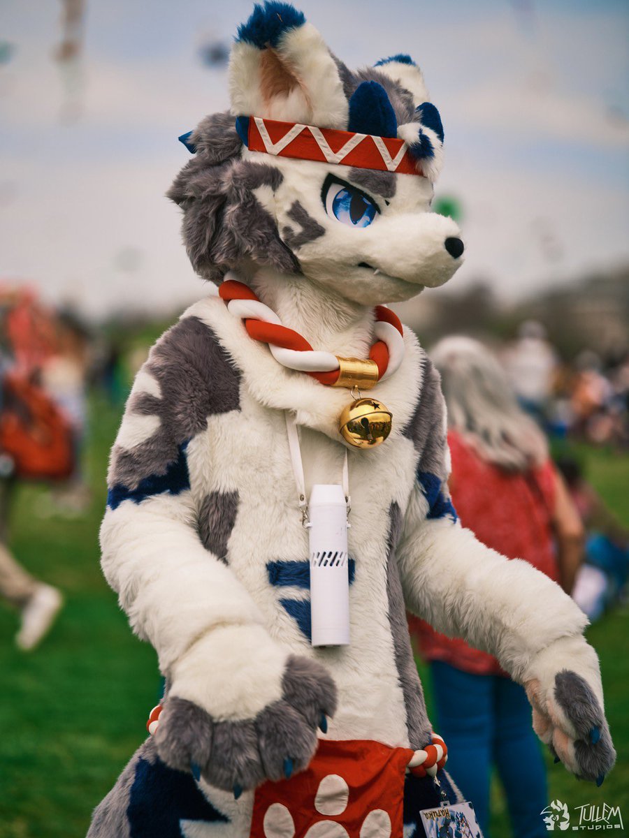 QDHfur's tweet image. Awrrr