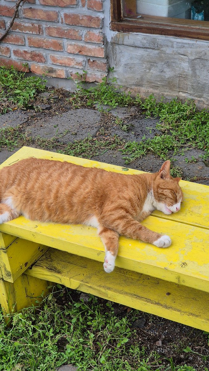 제주도 여행 갔다왔다
혼자 다녀온 건 정말 오랜만이었는데
생각보다 잘 맞아서 다행이었다
머리도 식히고 책도 많이 읽었다
바다 수영도 해서 피부도 많이 탔다
행복한 한 주였다🫡