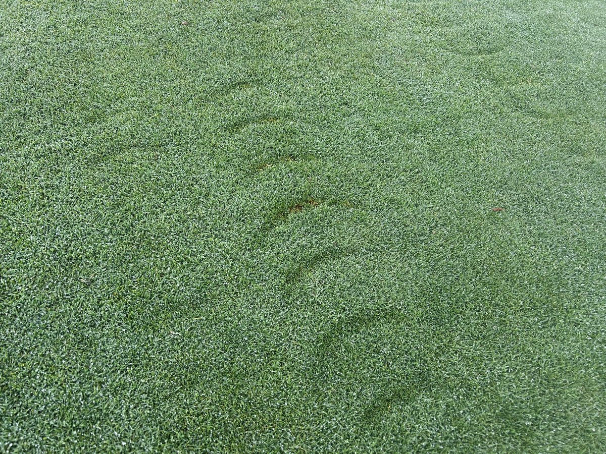It’s not always positive when using autonomous mowers.  Ceora skipping across the surface leaving marks during mowing of dry turf.
