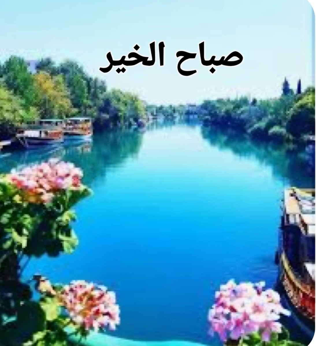 *اللهم أكرمنا واياكم بعظيم مغفرتك ،، وجزيل كرمك وكثرة عطاياك ،، وطيِّب حياتنا بالرضى والإحسان ،، وزيِّن أيامنا بالنور والغفران يارب العالمين 

   💐صباح الخير💐