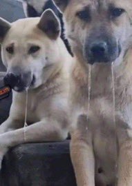 Alexsandro
Osimhen  
Malcom
Rensch
Hakan