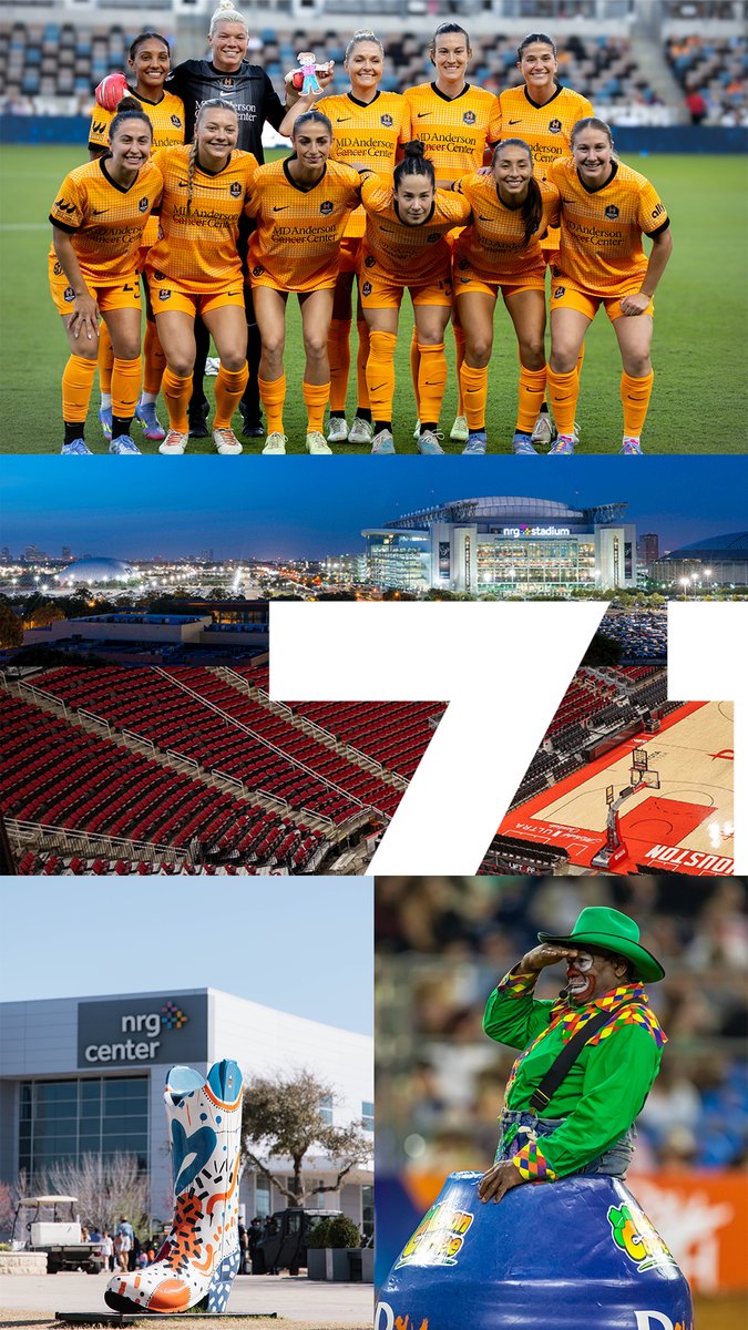 HCHSA's tweet image. Happy 713 Day, Houston! From hosting world-class events to championing our city’s sports legacy, we’re proud to represent the 713 every day.
#HoustonIsSports