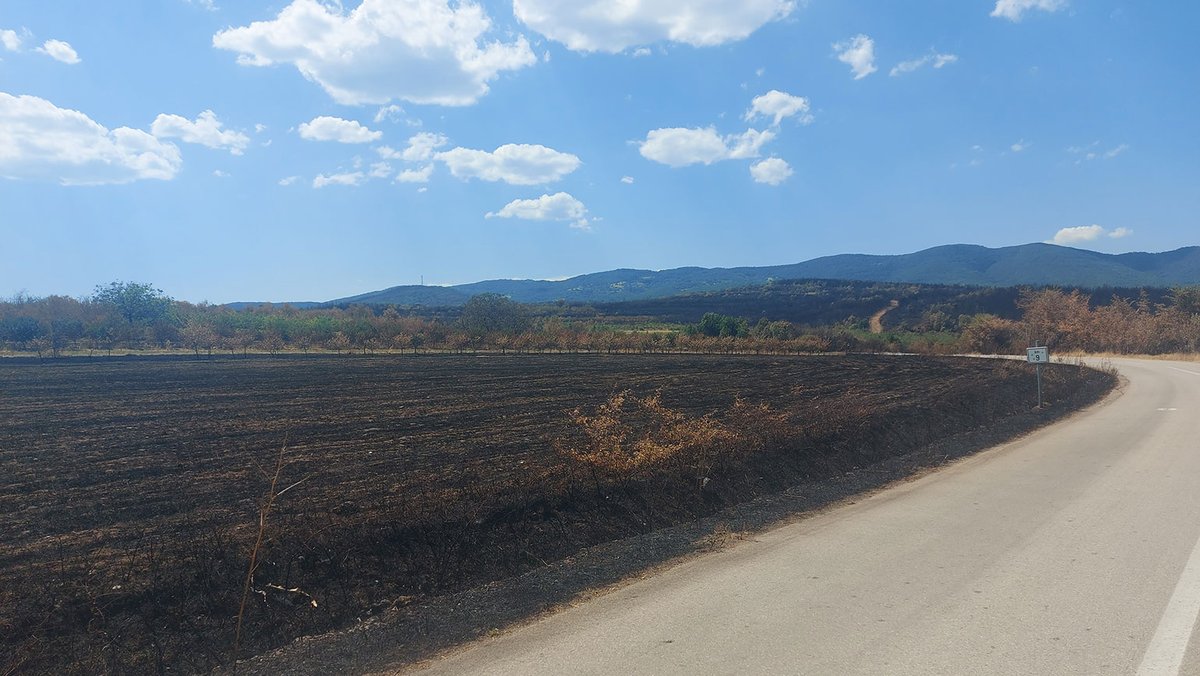 DooNigan's tweet photo. Danas na putu za Dubovo i borova šuma pored puta... https://t.co/P02ZaWLgfn