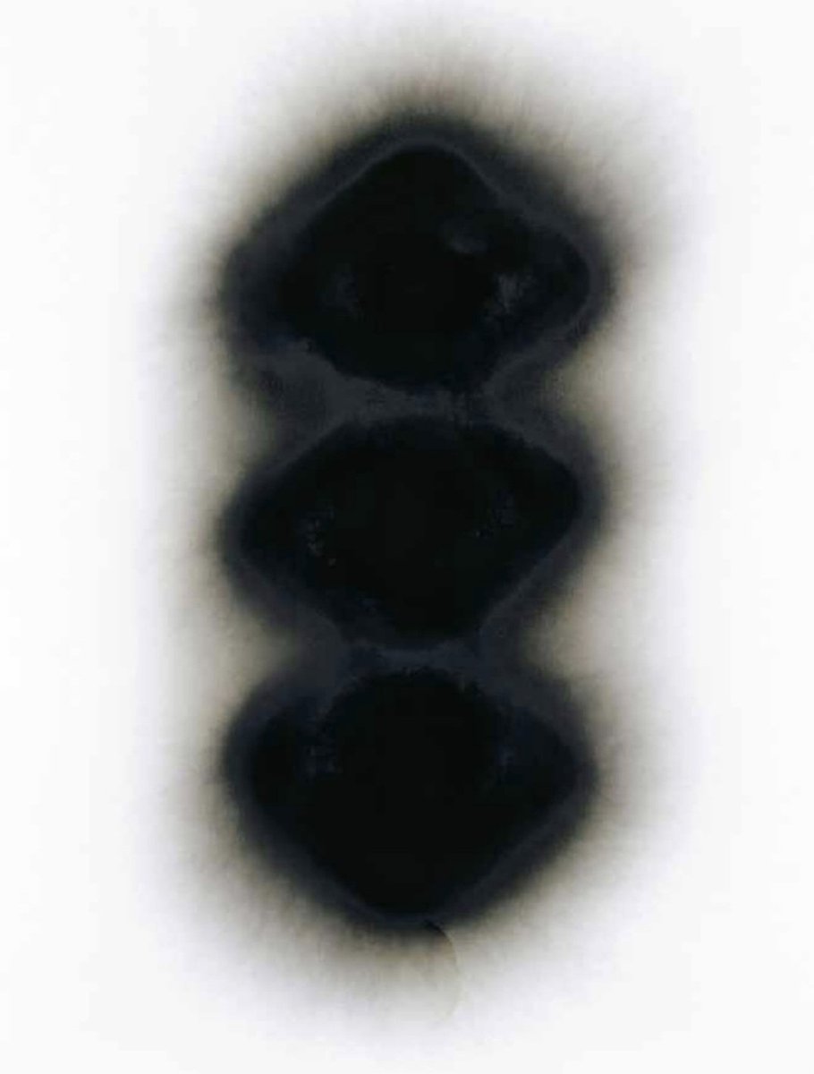 .

.

Otto Piene

.

.