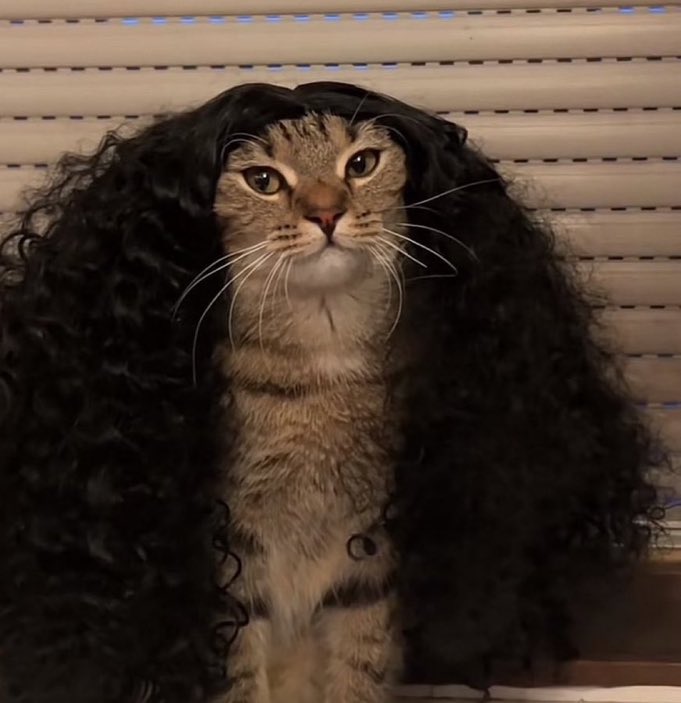 أقوى ظهير في العالم