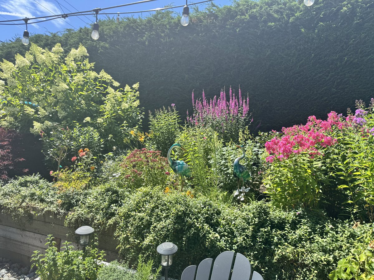 Garden update 👀