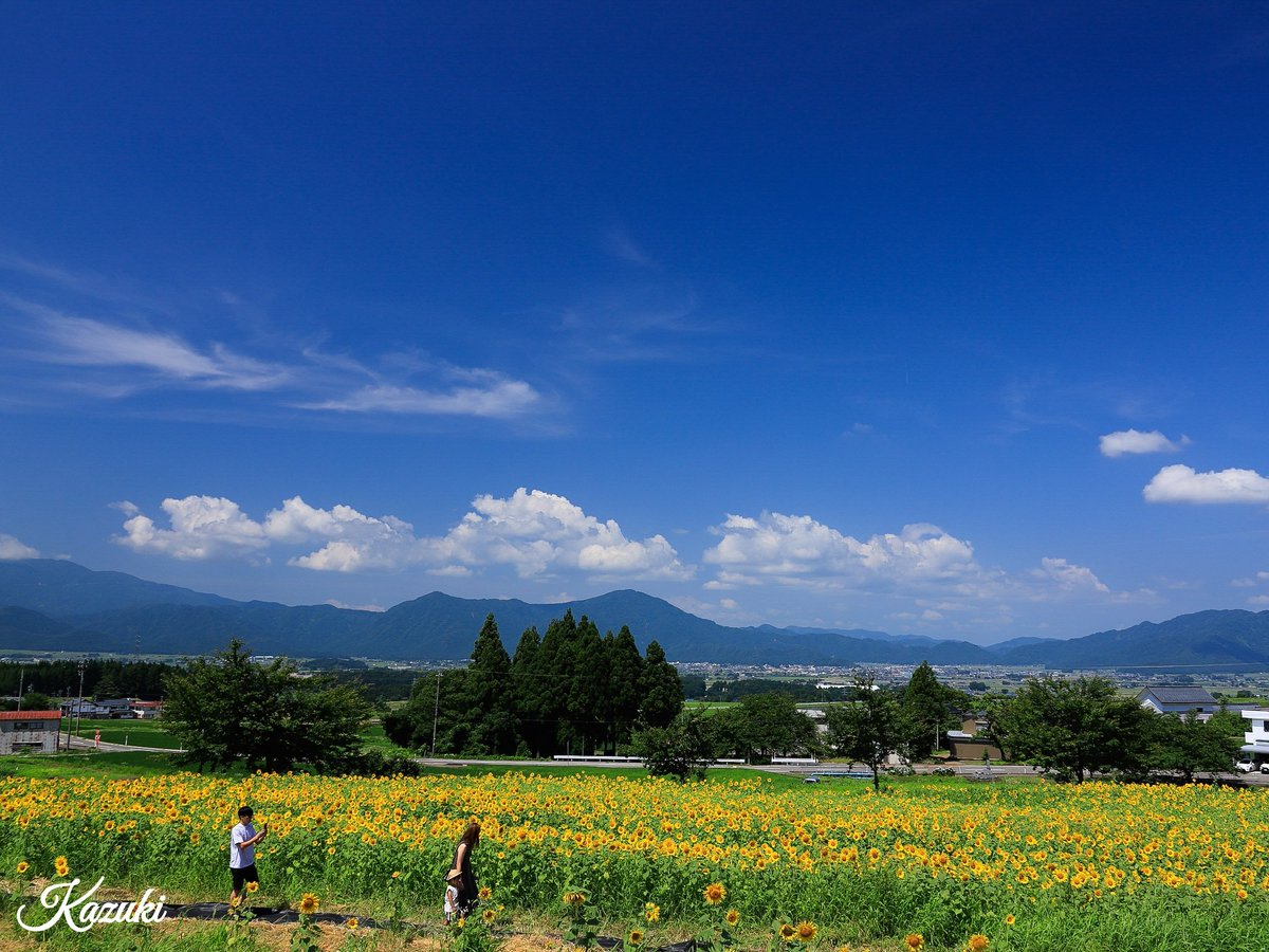 おはようございます

台風の進路付近の方々
お気をつけ下さいませ

今週も
宜しくお願いいたします😄

7/13 福井県大野市