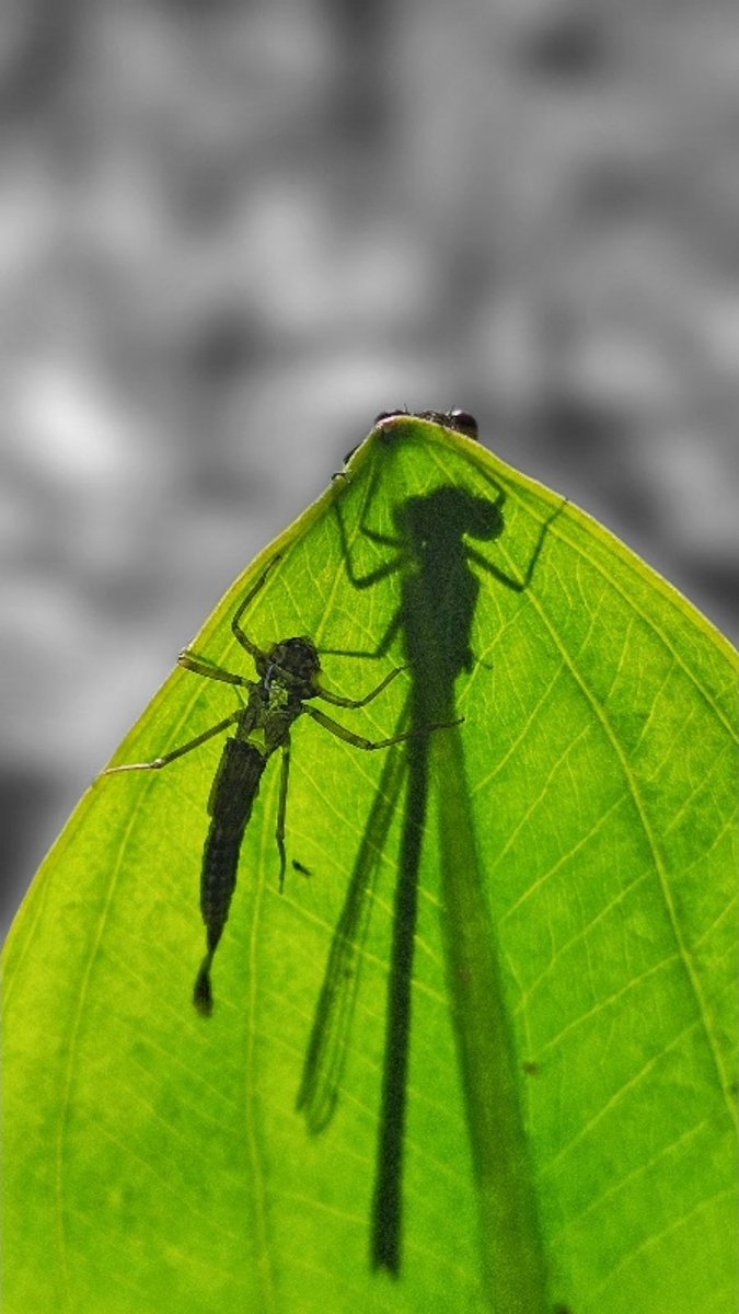 Gute Nacht zusammen.