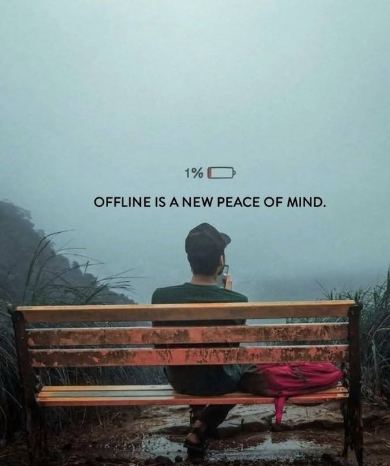 Mindful Maven tweet media