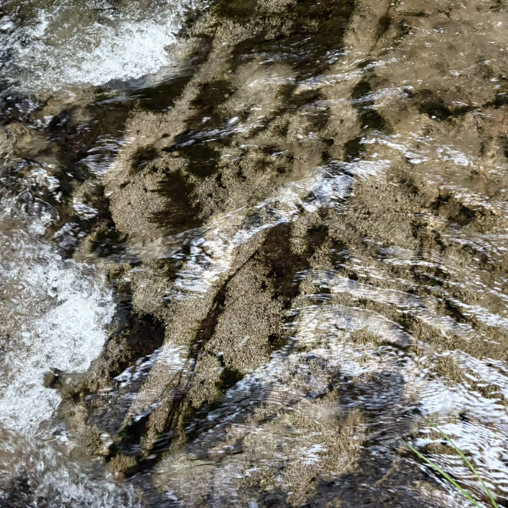 Aquí procurei tesouros. 

Rodeada
de cabaliños do demo
e lendas de mouros
que me contaba o avó.

Aquí procurei tesouros. 

Ríos que amo, 
que amei 
e que amarei
ata que se me esgoten
os soños.