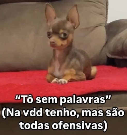 heloysapiress's tweet photo. Mais um dia que minha familia acha que estou possuída pelo demônio porque disse que nao quero ser evangelica como eles https://t.co/9HhnF10VoE