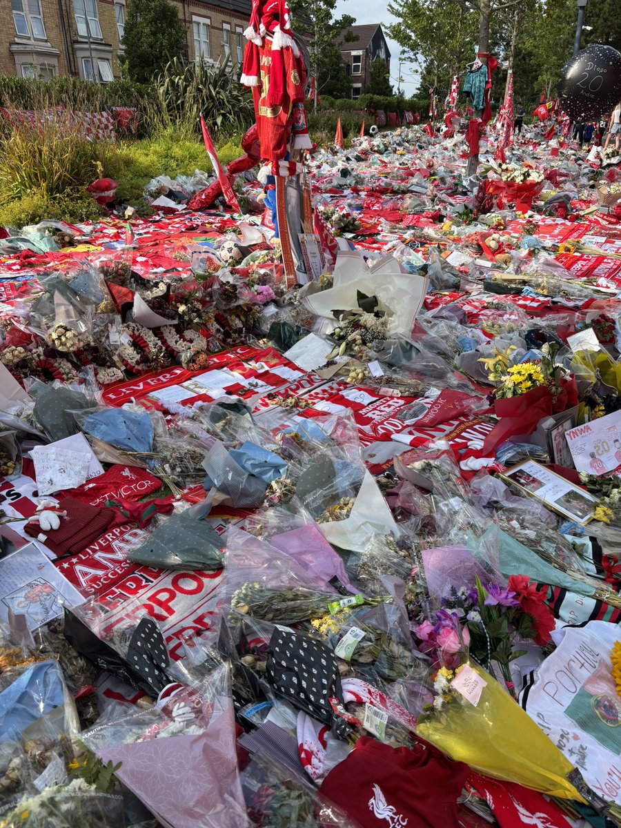 thuruo's tweet photo. Dear Diego Jota,

I'm missing you and still can't find any words for describing my feeling.

Your peak as not only as a player also human will come in future. Too early to pass away...

But such a accident might be happen on us so we must cherish the life.
  
RIP. With my heart. https://t.co/3ET00LMuCd