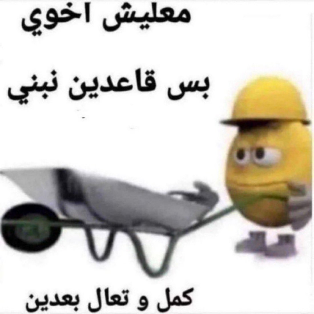 سـلّـط tweet media