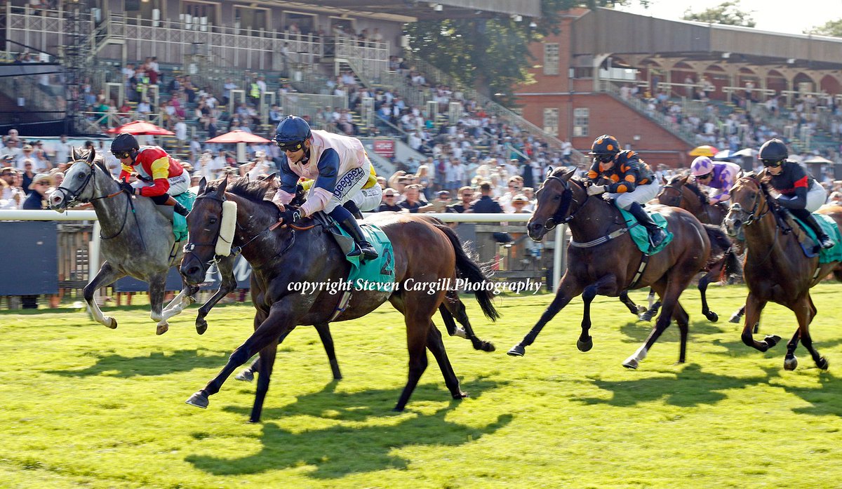 Steven Cargill tweet media