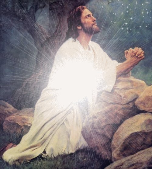 Buenas noches amigos, hasta mañana si Dios quiere. 🙏🙏🙏

Padre nuestro que estás en el cielo, 
santificado sea tu Nombre;
venga a nosotros tu Reino;
hágase tu voluntad 
en la tierra como en el cielo.
Danos hoy 
nuestro pan de cada día;
perdona nuestras ofensas,
como también