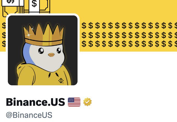 🚨#Binance US, X profil fotoğrafını Pengu NFT olarak değiştirdi. $PENGU