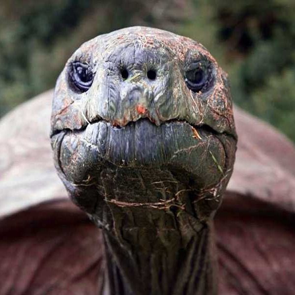 <a href="/Eljaboom/">Elja</a> I'll Shell you something!

#Jonathan slow and steady