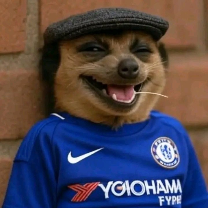 TigeyBin's tweet photo. Champions of world Chelsea #Chelsea #ChelseaFC https://t.co/z95j7sZJ3x