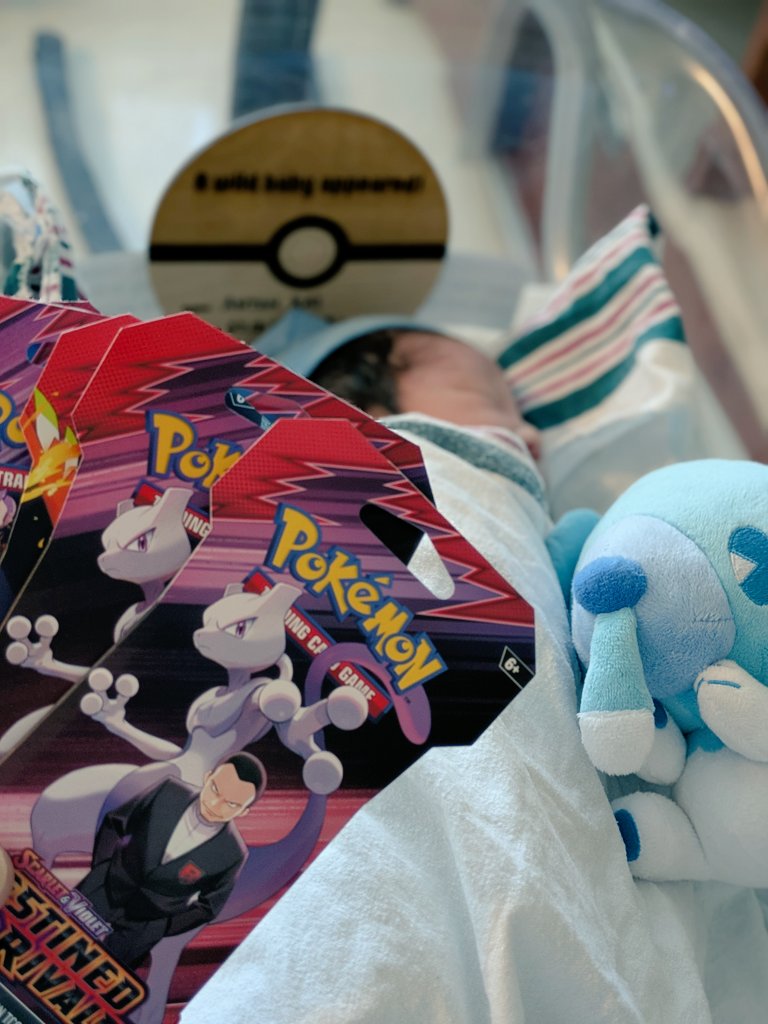 New PokéBaby just hatched. Welcome to the world, Anton 💙