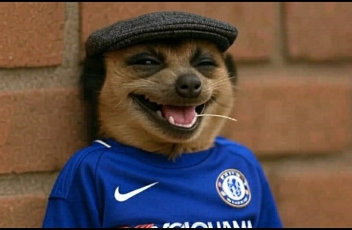 WehliyeMohamed's tweet photo. Every time Chelsea completes football, they invent a new trophy &amp; then Chelsea wins it!

We've won it all! https://t.co/SRqHcBpYd1