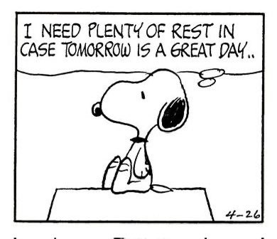 snoopy posters (@snoomfies) on Twitter photo 