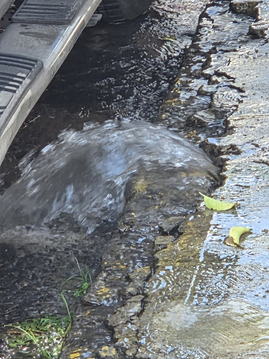 KolGaTiTa's tweet photo. @OPDM_Tlalne Quisiera reportar una fuga  aquí en tlanepantala esta brutal que se esté desperdiciando tanta agua!!! https://t.co/GcvvPOHJPD