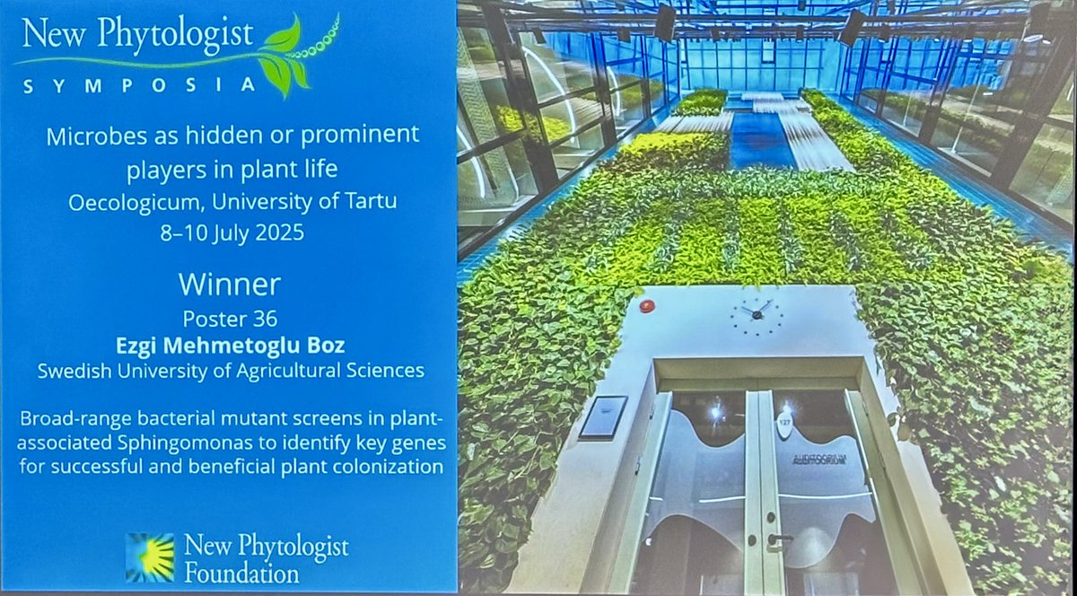 Ezgi Mehmetoglu Boz tweet media