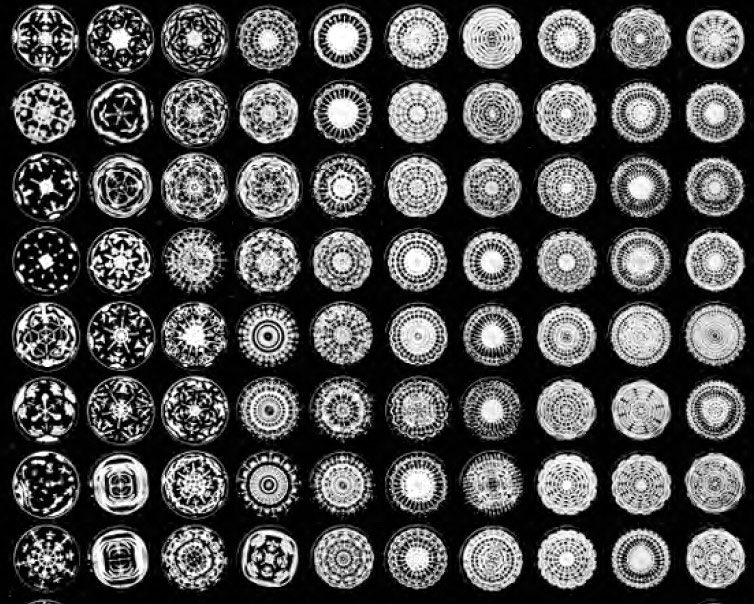 Patrick Van Pelt tweet media