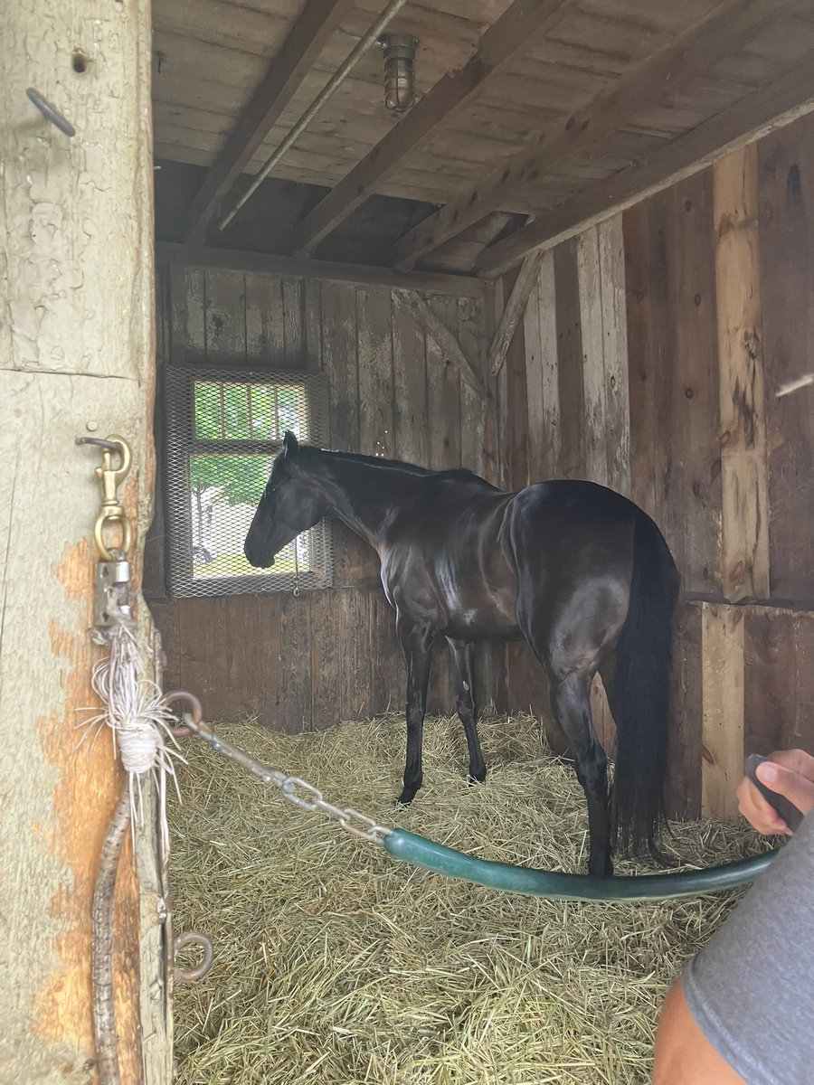 River Card Stable, LLC (@rivercardstable) / Posts / X