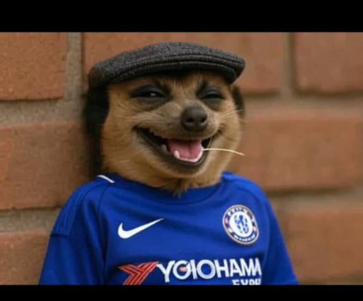 Blue has no limit 💙