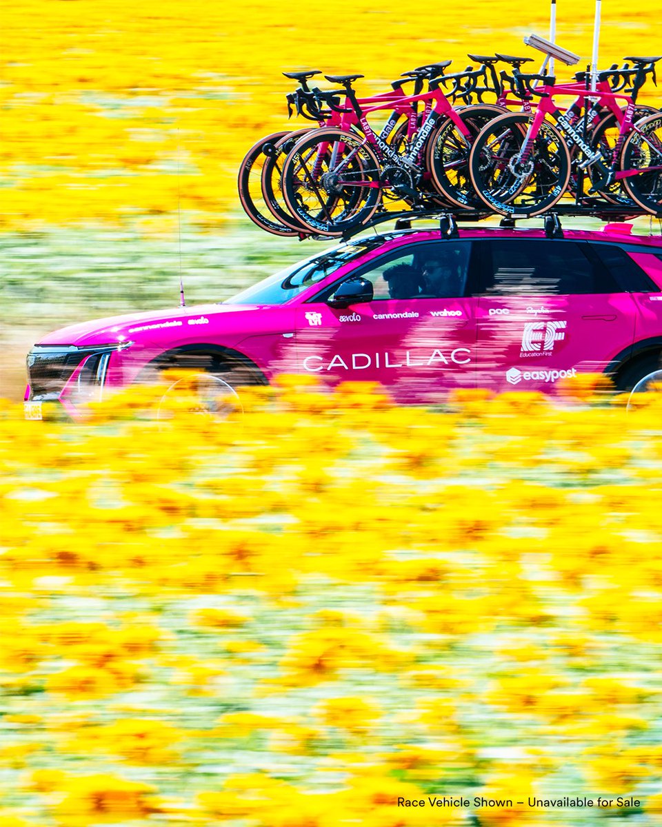 EFprocycling's tweet photo. 🌻 our first sunflower fields of the Tour 😍

#tdf2025 https://t.co/pmwrBKF0G6