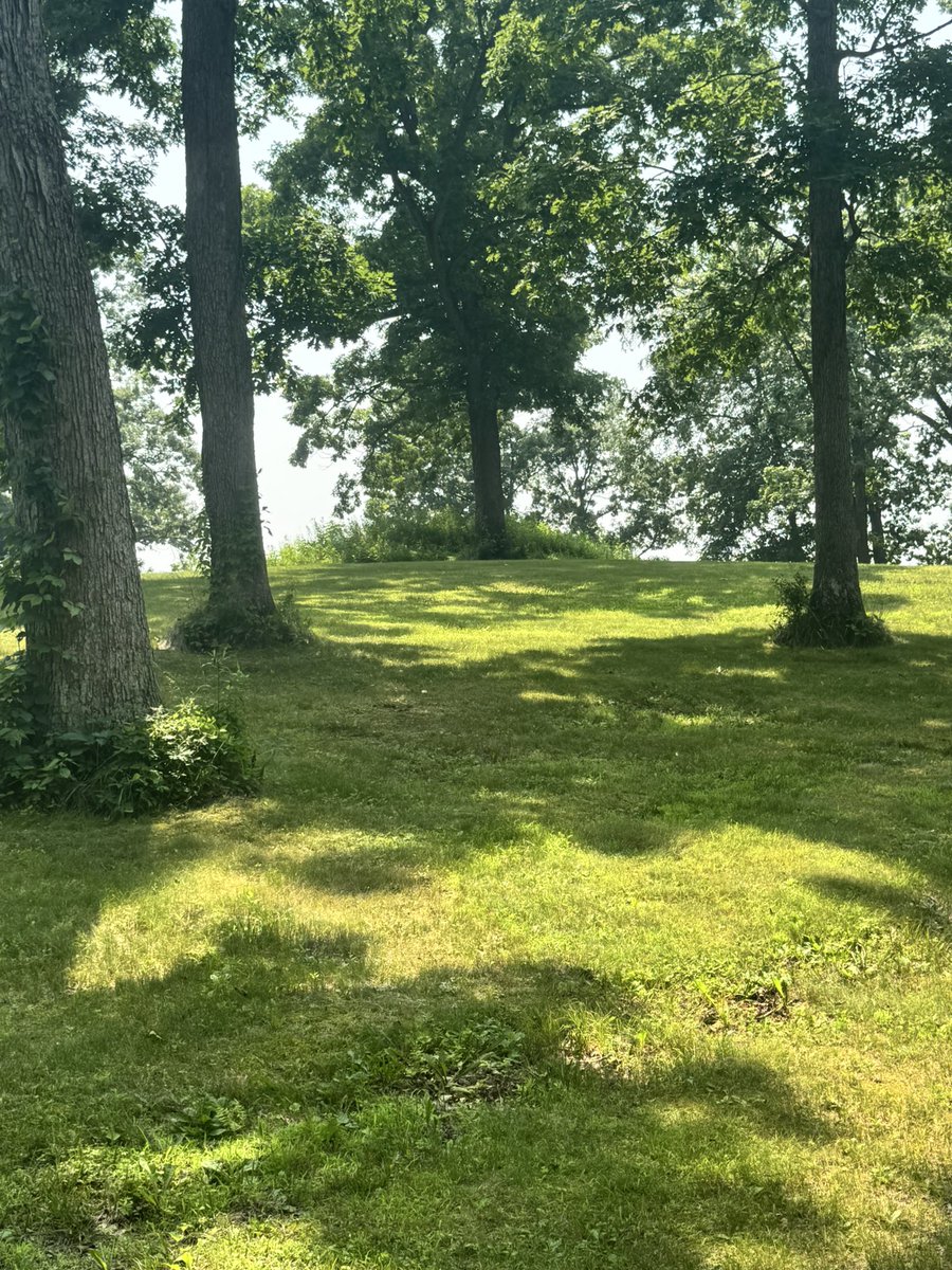 JeffUP_North's tweet image. Kingsley Bend Indian mounds in Wisconsin Dells was quite a surprise. Much bigger conical mounds and large effigy mounds. The largest mound was on top of a hill overlooking a valley on one side and overlooked the whole complex