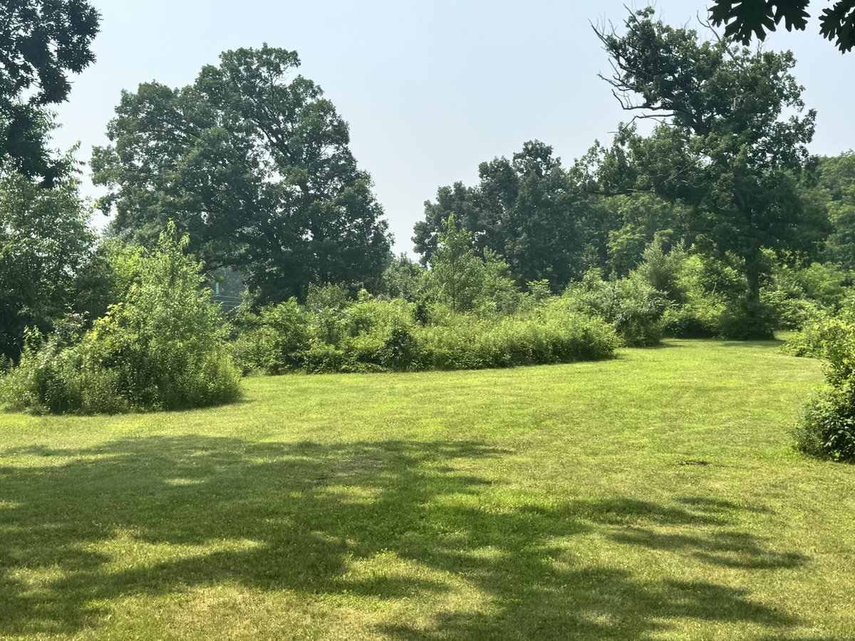 JeffUP_North's tweet image. Kingsley Bend Indian mounds in Wisconsin Dells was quite a surprise. Much bigger conical mounds and large effigy mounds. The largest mound was on top of a hill overlooking a valley on one side and overlooked the whole complex
