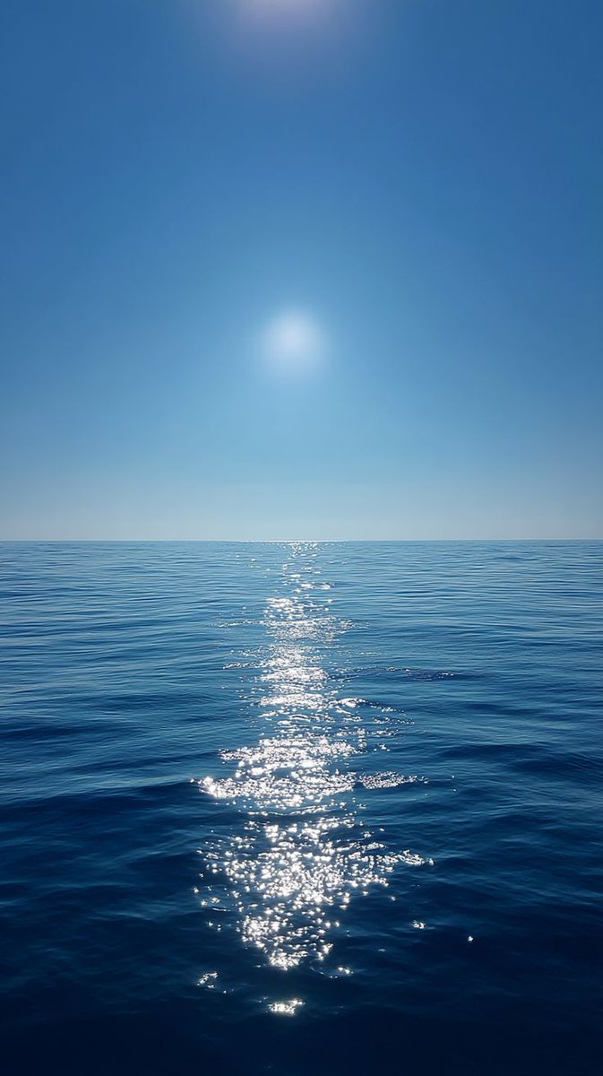 kiwiairene's tweet image. 