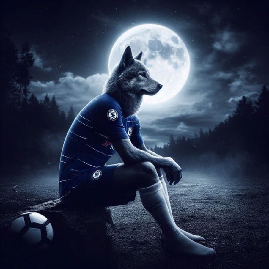 throwandyway's tweet photo. @Iewdawg @FIFACWC Staying up until 4 am to watch us play against a team from Tunisia https://t.co/UPg9xkUT3x