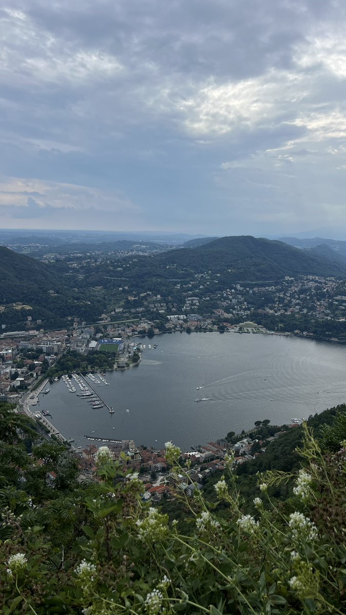 ابراهيم الخريف tweet media