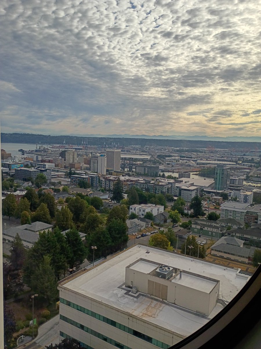 Been in the hospital with wifey since 8am. I'm ready to welcome my new little girl into the world 🍼 

I got art coming but it'll be halted for now.